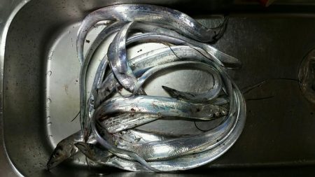 ホームで久々のツ抜けでした。